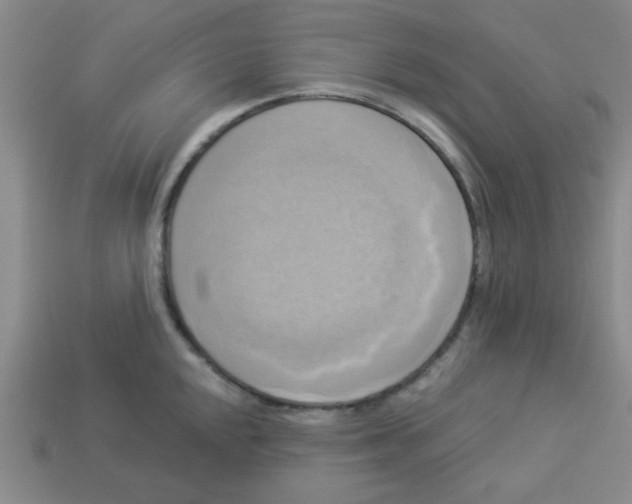 X0000113341048200910131215