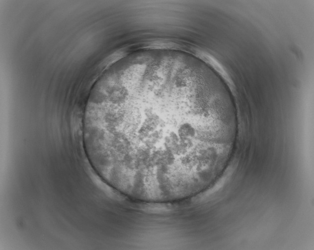 X0000113341049200910131215