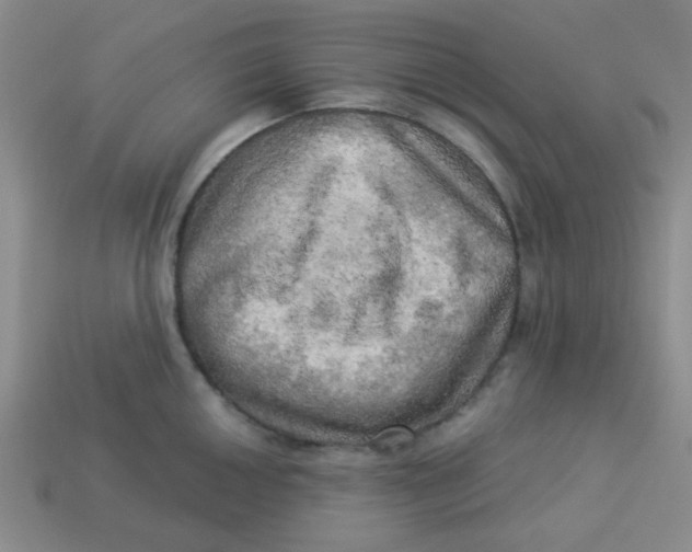 X0000113341050200910131215