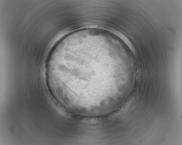 X0000113341051200910131215