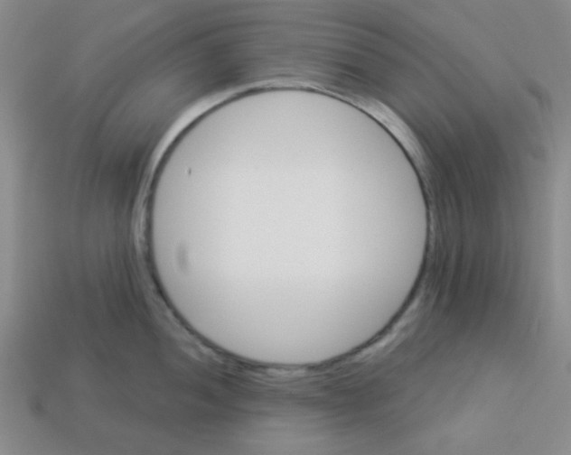 X0000113341052200910131215