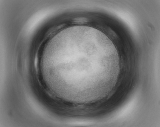 X0000113341054200910131215