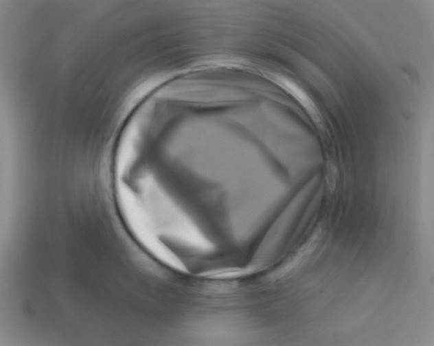 X0000113341055200910131215