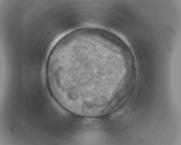 X0000113341056200910131215