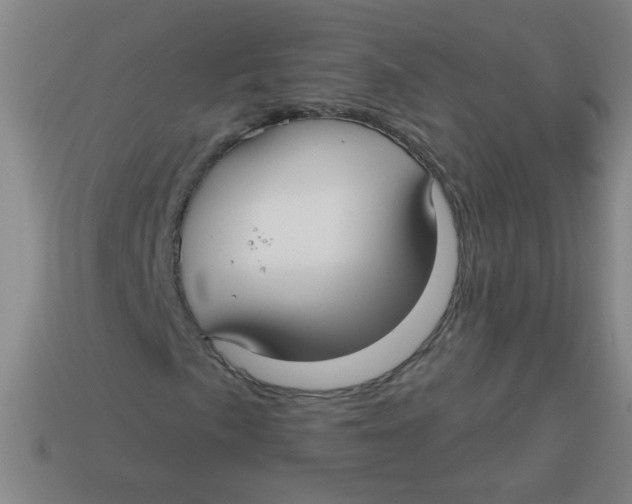 X0000113341057200910131214
