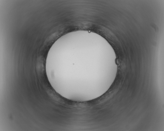 X0000113341058200910131214