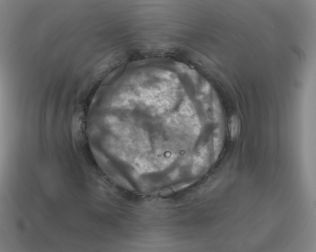 X0000113341059200910131214