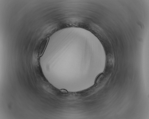 X0000113341060200910131214