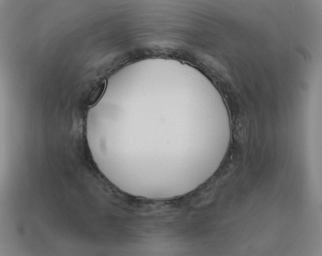 X0000113341061200910131214