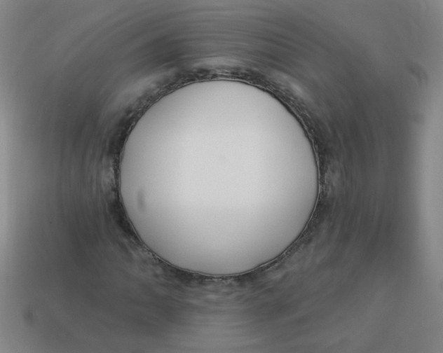 X0000113341062200910131214