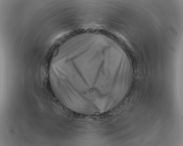 X0000113341063200910131214