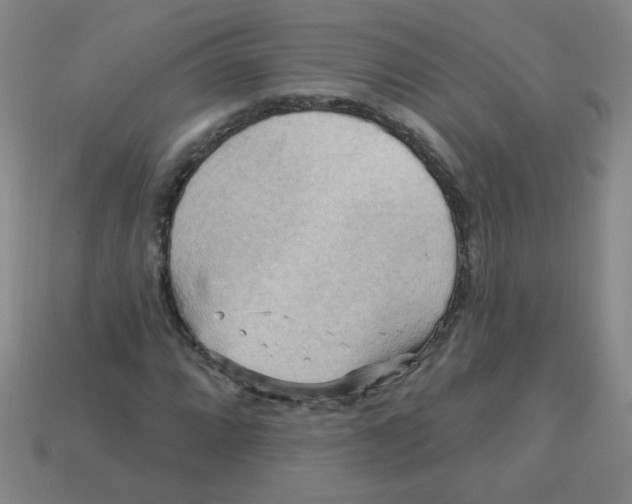 X0000113341064200910131214