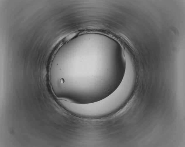 X0000113341065200910131214