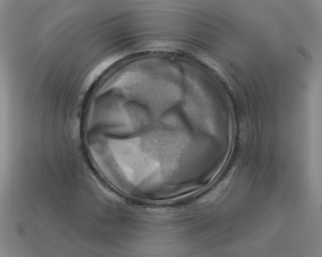X0000113341066200910131214