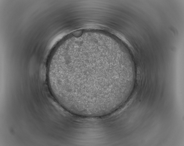 X0000113341067200910131214