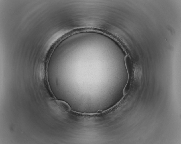 X0000113341069200910131214