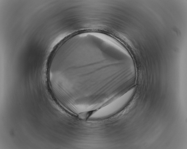X0000113341071200910131213