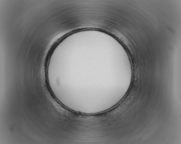 X0000113341072200910131213