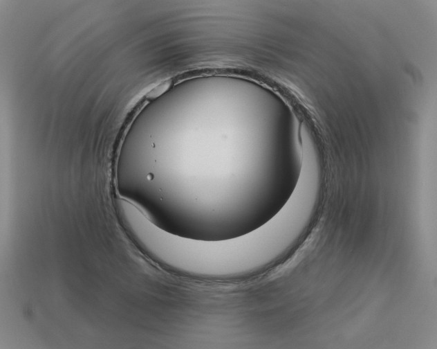 X0000113341073200910131213