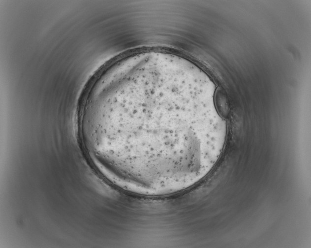 X0000113341076200910131213