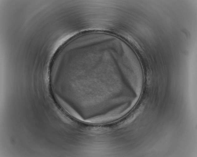 X0000113341077200910131213
