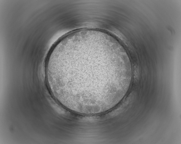 X0000113341078200910131213