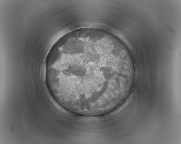 X0000113341079200910131213