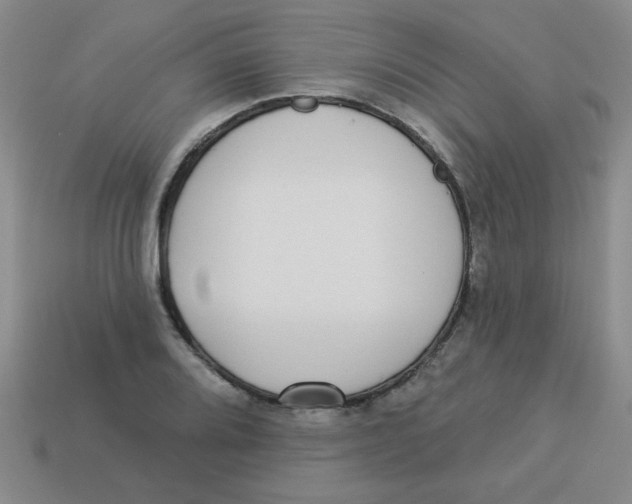 X0000113341080200910131213