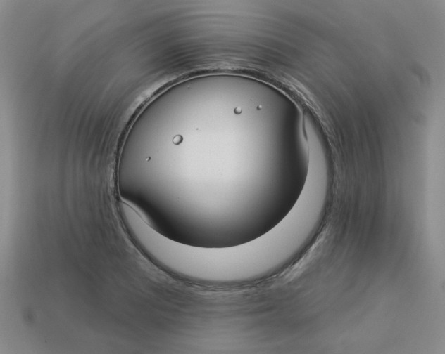 X0000113341081200910131213