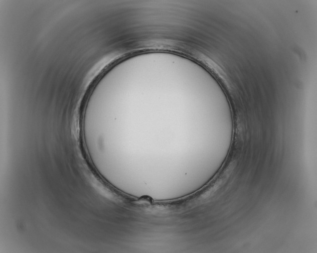 X0000113341082200910131213