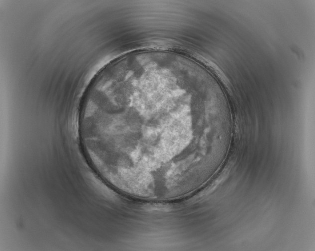 X0000113341083200910131213
