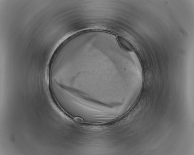 X0000113341084200910131213