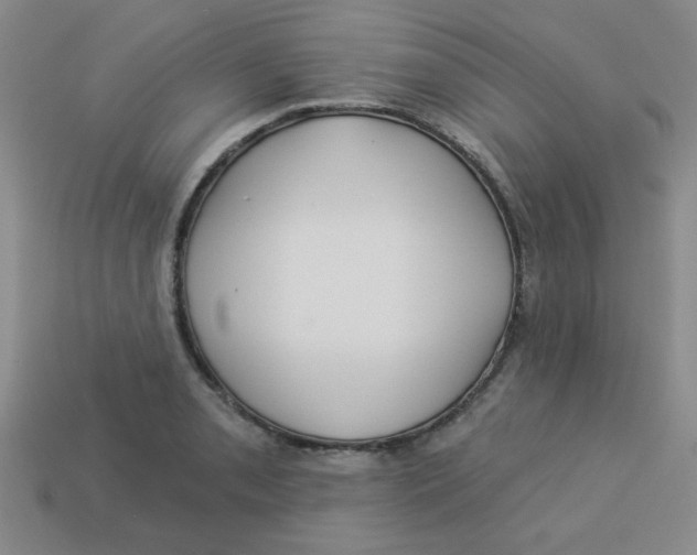 X0000113341085200910131213