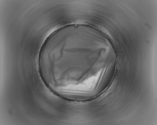 X0000113341087200910131213