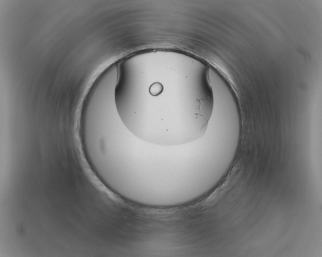 X0000113341088200910131213