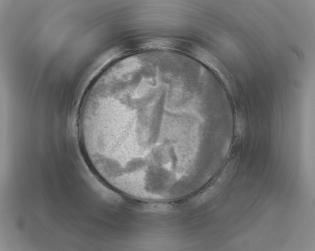 X0000113341090200910131213