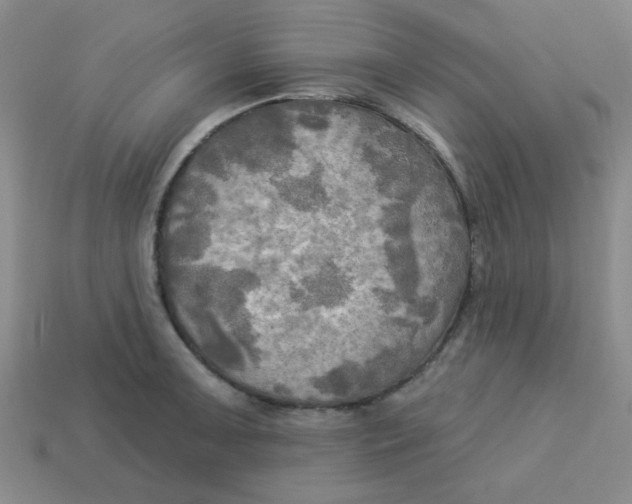 X0000113341091200910131213
