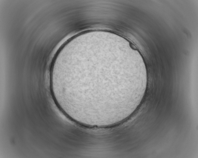 X0000113341092200910131213