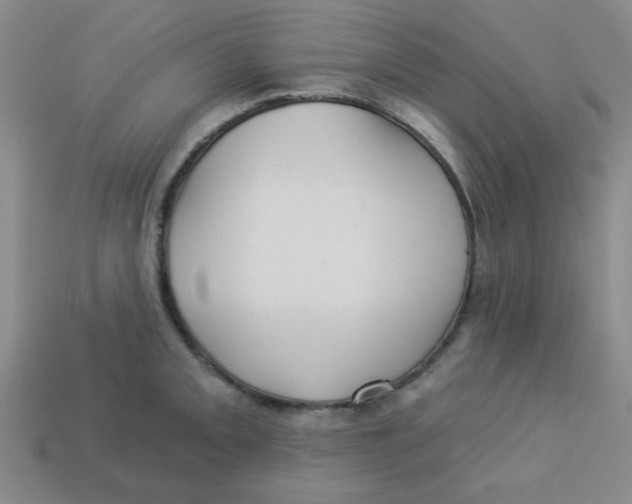 X0000113341093200910131213