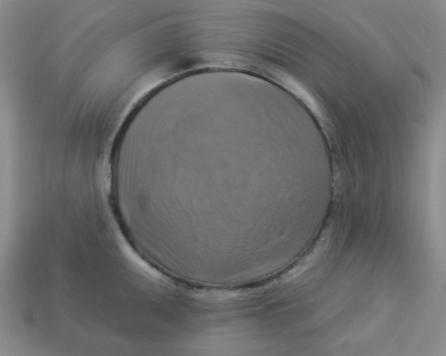 X0000113341095200910131213