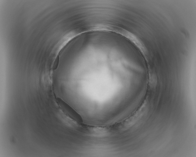 X0000113341097200910131213