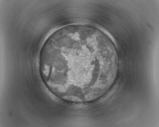 X0000113341099200910131213