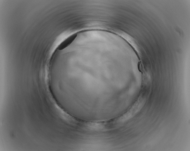 X0000113341101200910131213