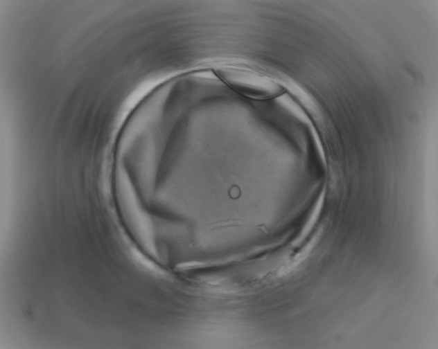 X0000113341102200910131213