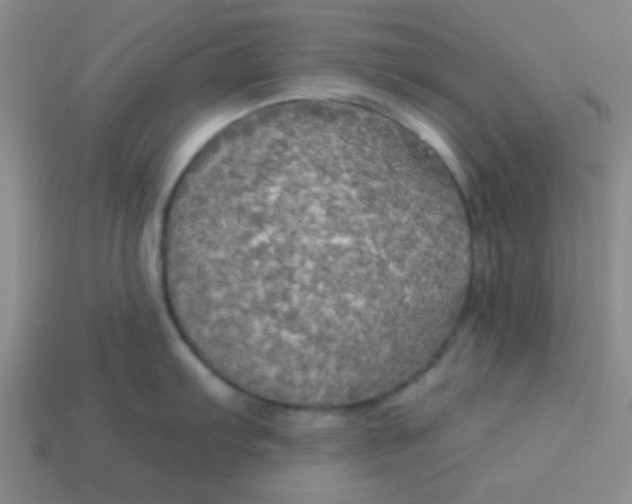 X0000113341103200910131213
