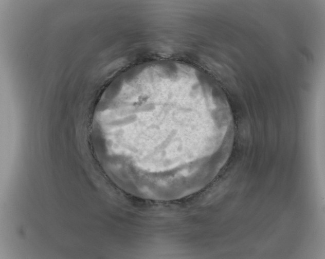 X0000113341105200910131212