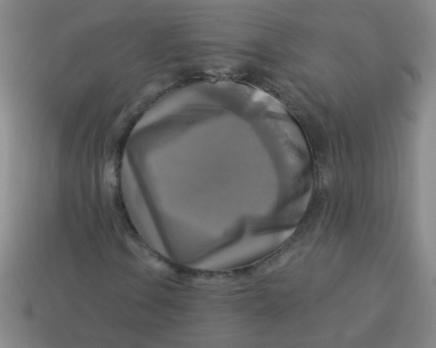 X0000113341106200910131212