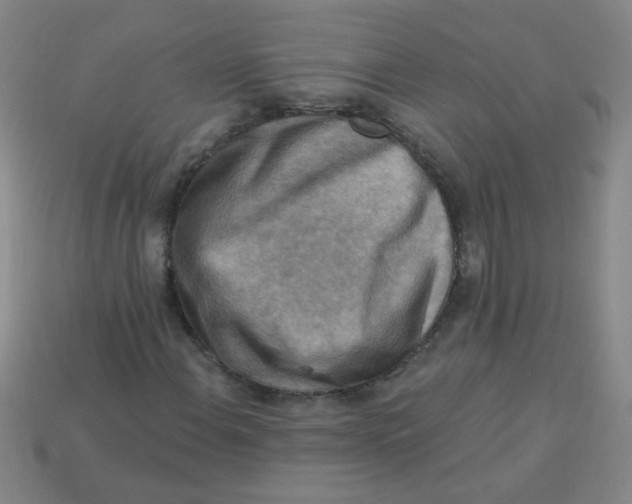 X0000113341108200910131212