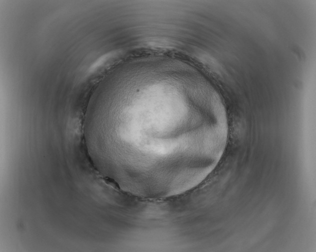 X0000113341110200910131212