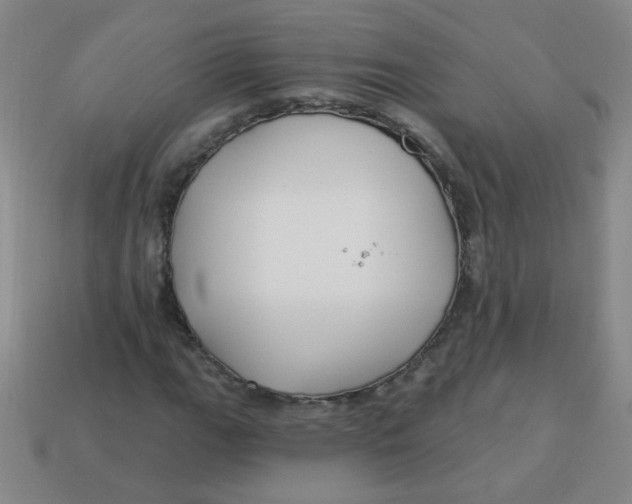 X0000113341111200910131212